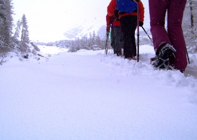 SCHNEESCHUHWANDERN