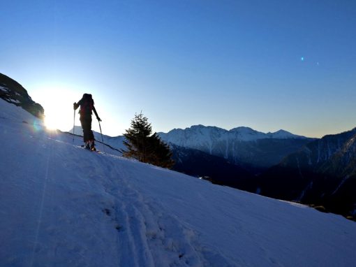 #37 Skitour auf die Romatenspitze (Mallnitz)